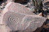 Spiral Petroglyph Pictograph