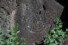 Spiral Petroglyph Pictograph