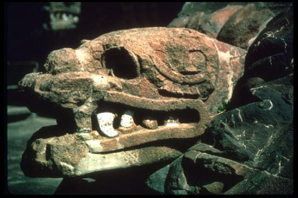 Aztek serpent head carved in stone