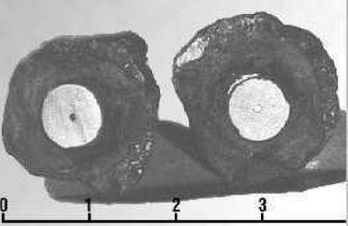  THE COSO ARTIFACT - 500,000 YEAR OLD SPARK PLUG