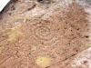 Spiral Petroglyph Pictograph